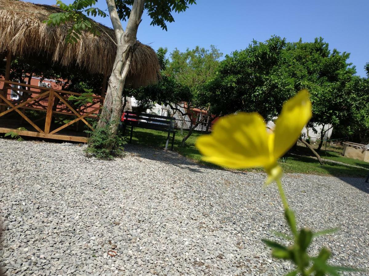 Hotel Kolkhi Gonio Buitenkant foto